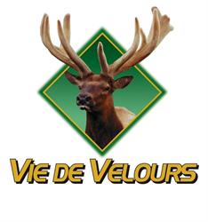 Vie de Velours (Velvet Life)