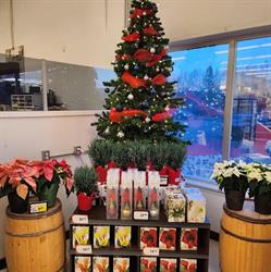 Foodland - Middleton