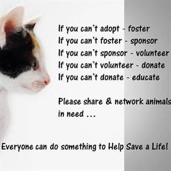 The Animal Assistance Group