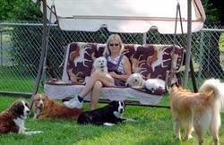 Heidi's Alternative & Holistic Dog care