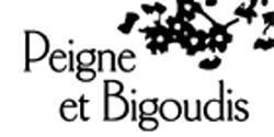 Peigne Et Bigoudis