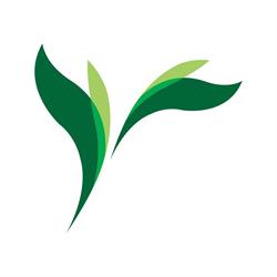 Health Momentum