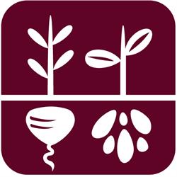 Foodscape Enterprises Inc