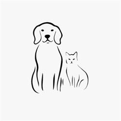 Animal Hospital Of Aurora