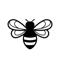 Nude Bee Honey Co.