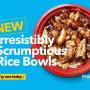 Irresistibly Scrumptious Rice Bowls Irresistibly Scrumptious Rice Bowls