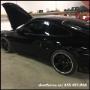 DENT FORCE Paintless Dent Repair DENT FORCE Paintless Dent Repair