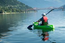 Nelson Paddleboard & Kayak Rentals