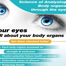 Focus Iridology