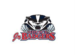 St. Catharines Female Hockey Association