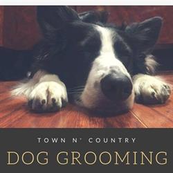 Town N' Country Dog Grooming