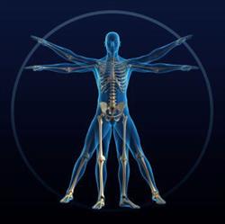 Vitality Integrative Wellness Centre