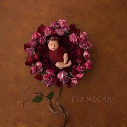 Eva Mocha Photography