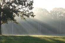 Toronto Psychologist - DF Psychological Services
