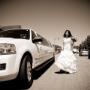 We provide service for any and all occasions. We provide service for any and all occasions.