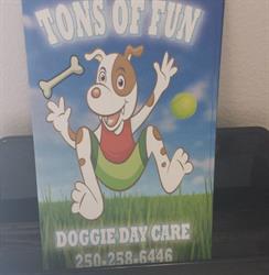 Tons of Fun Doggie Day Care