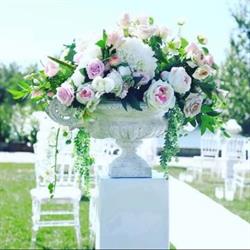 Gracehills Events & Rentals