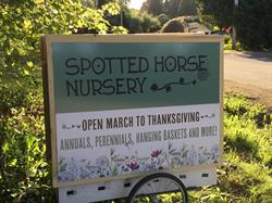 The Spotted Horse Farm and Nursery