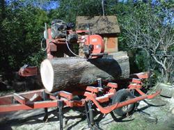Traditional Forest Products