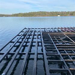 Ledger Steel Systems Inc.