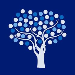 Taylor Chiropractic & Wellness