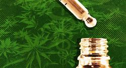 Green City Market Cannabis Retail Store