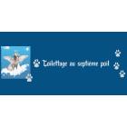 Toilettage au Septieme Poil