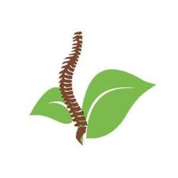 True Life Wellness and Physiotherapy