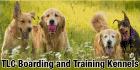 TLC Boarding and Training Kennels