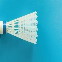 Barrie Badminton Club