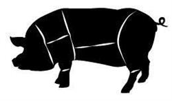 The Berkshire