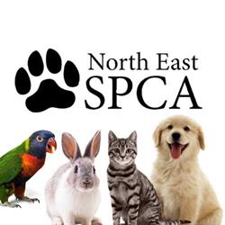 The Harry and Eve Vickar Shelter for the NESPCA