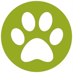 Paw Street Market - Abbotsford