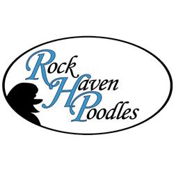 RockHaven Standard Poodles