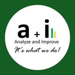 Analyze & Improve Inc