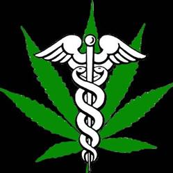 Cannabis For Life