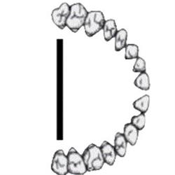 dentination lab