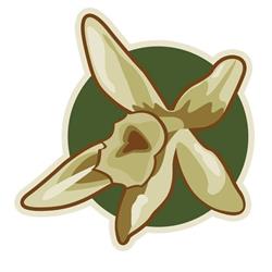 organicfair