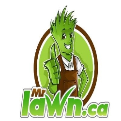 Mr. Lawn