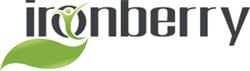 Iron Berry Inc
