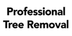 Professional Tree Removal