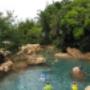Discovery Cove Discovery Cove