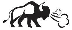 Buffalo Pressure Washing
