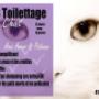 Toilettage chat, coupe lion ou lynx. À partir de 45.00$ Toilettage chat, coupe lion ou lynx. À partir de 45.00$
