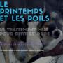 Pour nos compagnons qui perdent leurs poils. Traitement de la mue pour petit ou gros chien, chat et même votre lapin. Pour nos compagnons qui perdent leurs poils. Traitement de la mue pour petit ou gros chien, chat et même votre lapin.