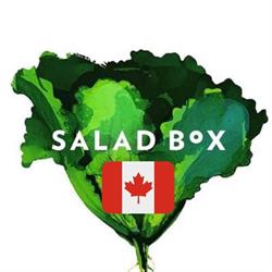 Salad Box