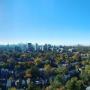 Goooooooood Morning Toronto! View from top floor of condo tower - Yonge/Eglinton neighbourhood. Goooooooood Morning Toronto! View from top floor of condo tower - Yonge/Eglinton neighbourhood.