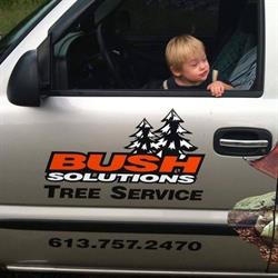 Bush Solutions Tree Service