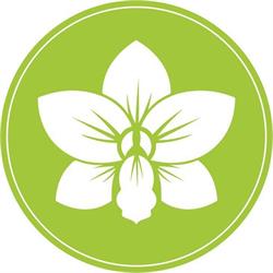 A Healing Touch Massage Therapy Clinic
