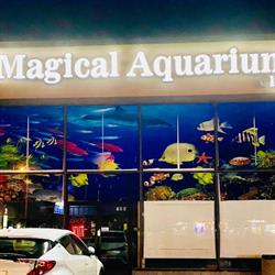 Magical Aquarium Wholesale Inc.